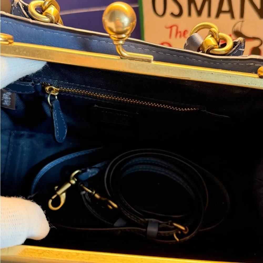 Coach kisslock dreamer 21 snakeskin detail